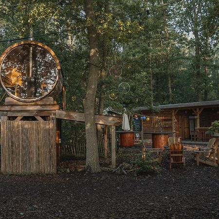 Tinyparks Forest Cabins Hoogersmilde Екстер'єр фото