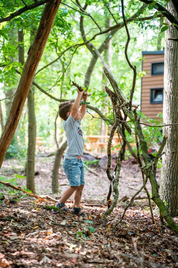 Tinyparks Forest Cabins Hoogersmilde Екстер'єр фото