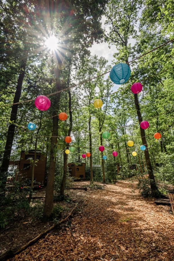 Tinyparks Forest Cabins Hoogersmilde Екстер'єр фото